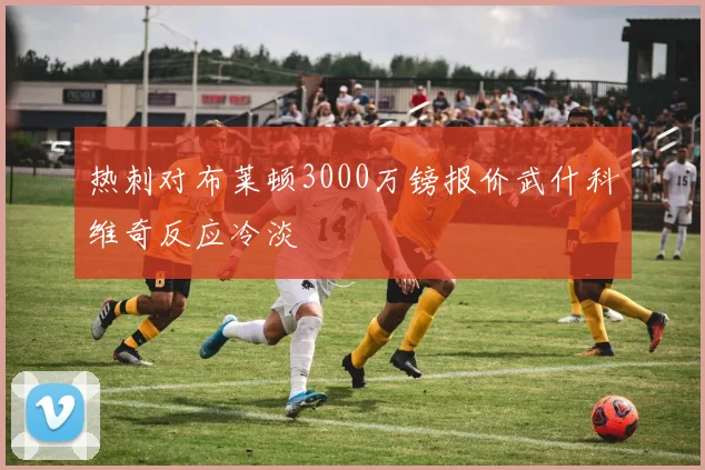 热刺对布莱顿3000万镑报价武什科维奇反应冷淡